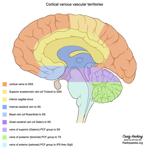 Venous vascular territories of the lateral cerebral cortex